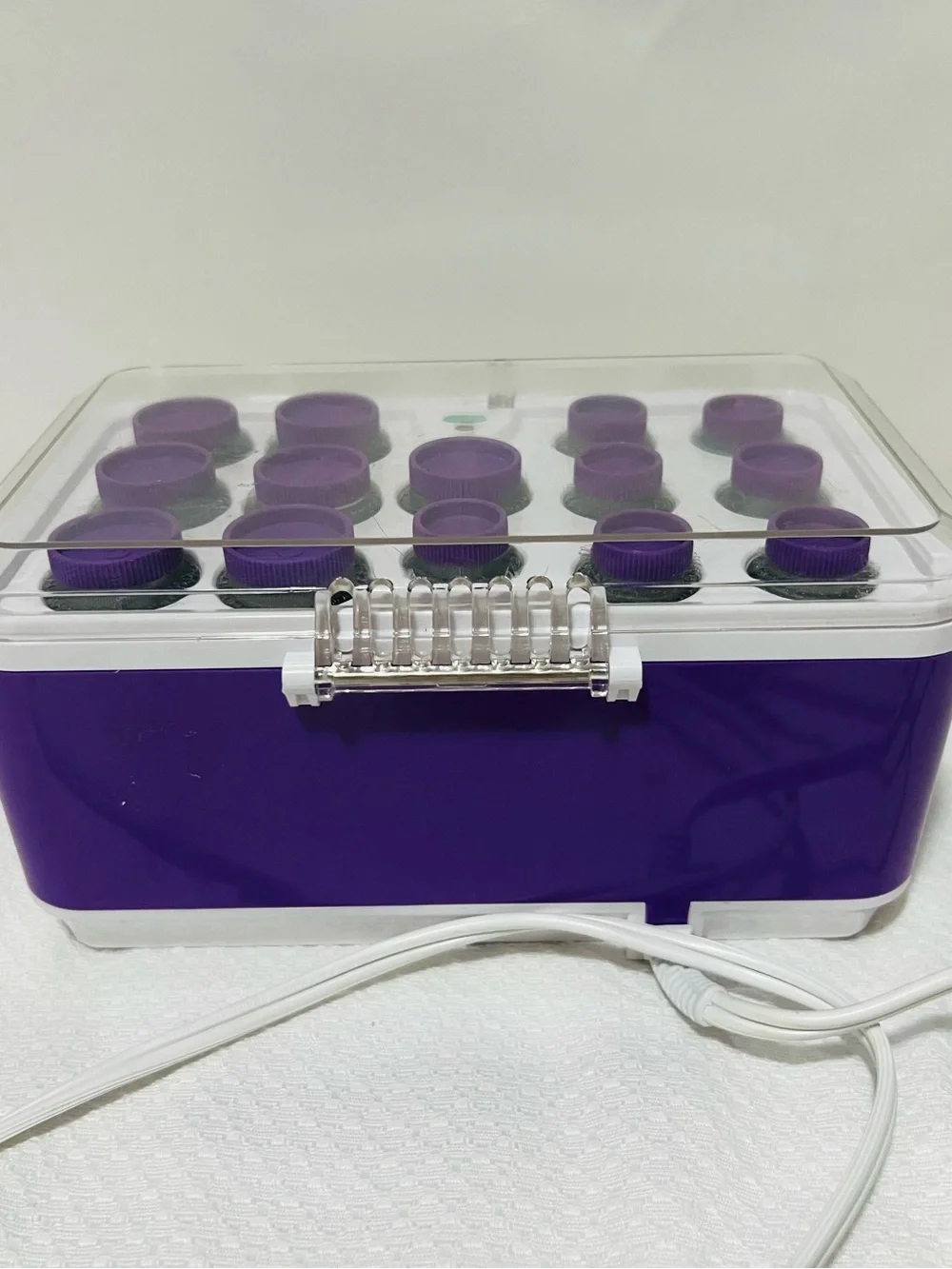 Calista Purple Hot Rollers